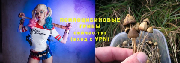 соль курить ск Алексеевка
