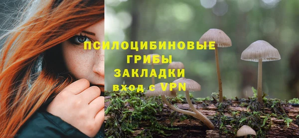 эйфоретик Алзамай