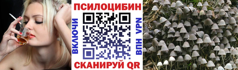 Псилоцибиновые грибы мухоморы  наркотики  Сухиничи 
